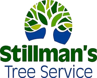 Stillman's Tree Service
